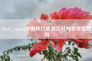 汝州中国执行信息公开网会发信息吗