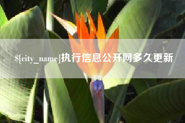汝州执行信息公开网多久更新