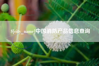 汝州中国消防产品信息查询