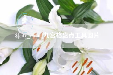 汝州九宫格盘点工具图片
