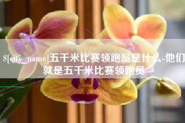 汝州五千米比赛领跑员是什么-他们就是五千米比赛领跑员