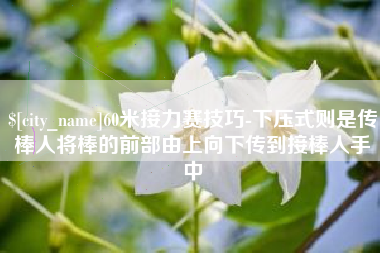 汝州60米接力赛技巧-下压式则是传棒人将棒的前部由上向下传到接棒人手中