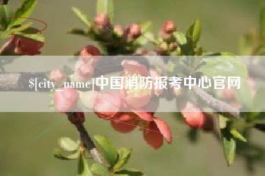 汝州中国消防报考中心官网