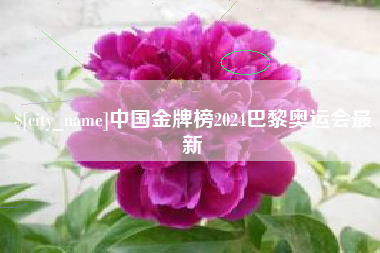 汝州中国金牌榜2024巴黎奥运会最新