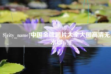 汝州中国金牌图片大全大图高清无水印