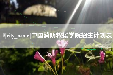 汝州中国消防救援学院招生计划表