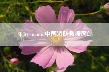 汝州中国消防救援网站