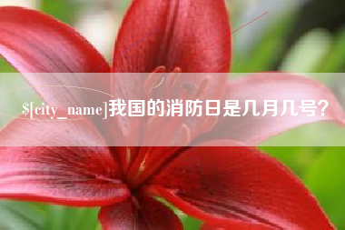 汝州我国的消防日是几月几号？