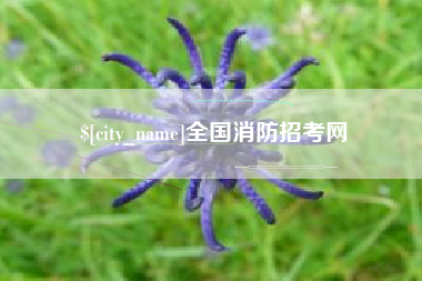 汝州全国消防招考网