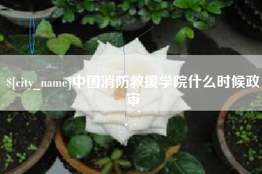 汝州中国消防救援学院什么时候政审