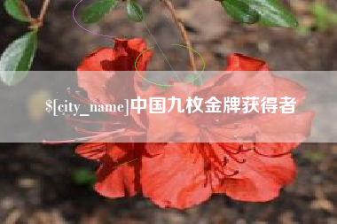 汝州中国九枚金牌获得者