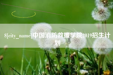 汝州中国消防救援学院2019招生计划