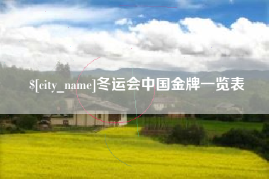 汝州冬运会中国金牌一览表