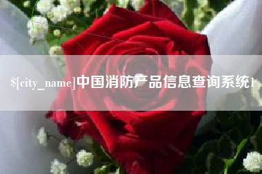 汝州中国消防产品信息查询系统1