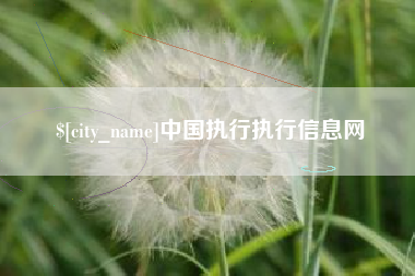 汝州中国执行执行信息网