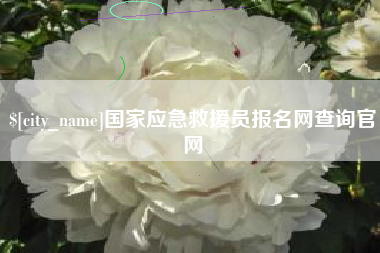 汝州国家应急救援员报名网查询官网