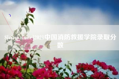 汝州2021中国消防救援学院录取分数