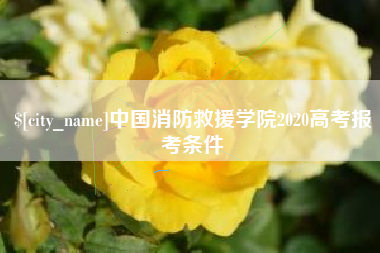 汝州中国消防救援学院2020高考报考条件