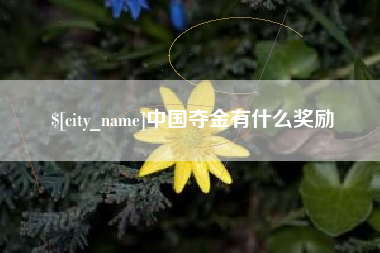汝州中国夺金有什么奖励