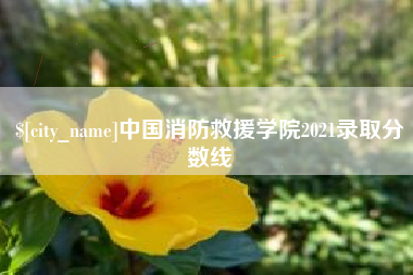 汝州中国消防救援学院2021录取分数线