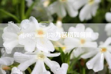 汝州579九宫格如何排