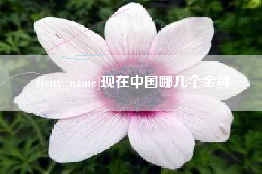 汝州现在中国哪几个金牌