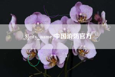 汝州中国消防官方