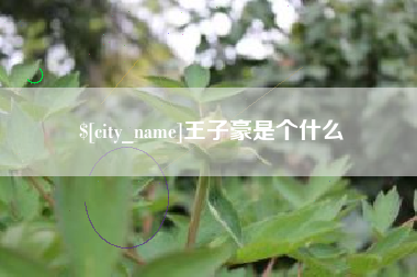 汝州王子豪是个什么