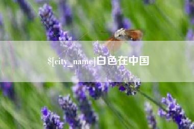 汝州白色在中国