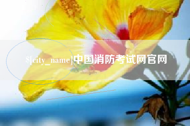 汝州中国消防考试网官网