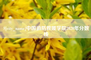 汝州中国消防救援学院2020年分数线