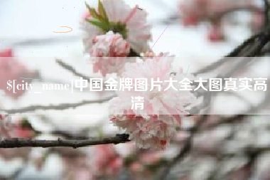 汝州中国金牌图片大全大图真实高清