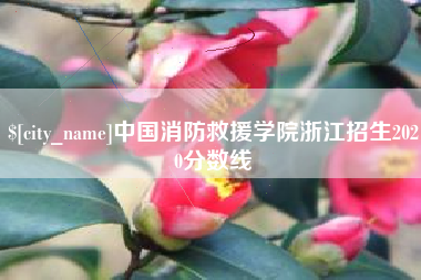 汝州中国消防救援学院浙江招生2020分数线
