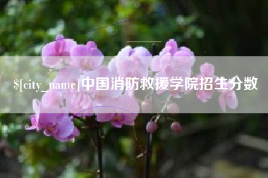 汝州中国消防救援学院招生分数