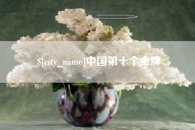 汝州中国第十个金牌