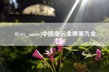 汝州中国奥运金牌第九金