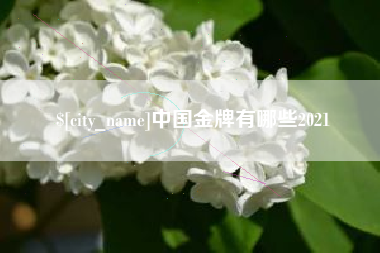 汝州中国金牌有哪些2021