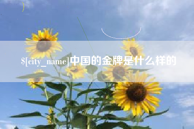 汝州中国的金牌是什么样的