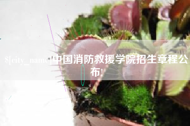 汝州中国消防救援学院招生章程公布!