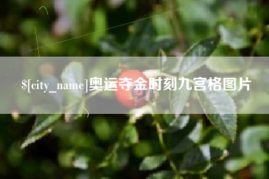 汝州奥运夺金时刻九宫格图片