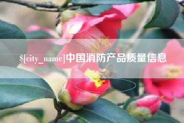 汝州中国消防产品质量信息