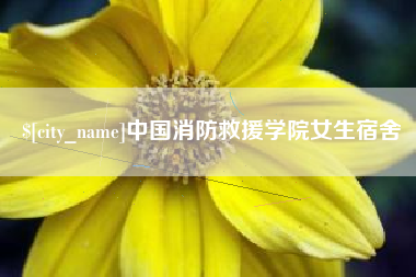 汝州中国消防救援学院女生宿舍
