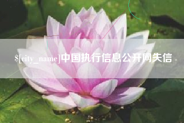 汝州中国执行信息公开网失信