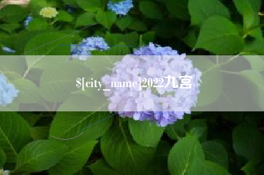 汝州2022九宫
