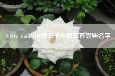 汝州中国五千米冠军有哪些名字