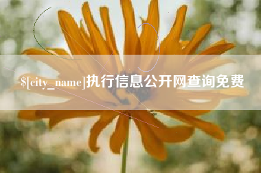 汝州执行信息公开网查询免费