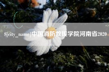 汝州中国消防救援学院河南省2020