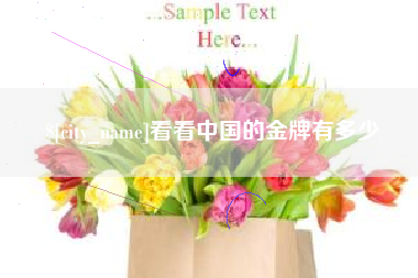 汝州看看中国的金牌有多少
